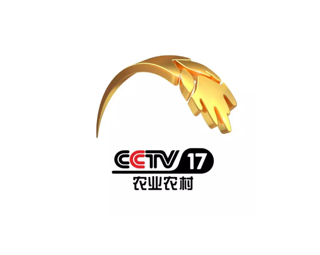 CCTV17 LOGO设计